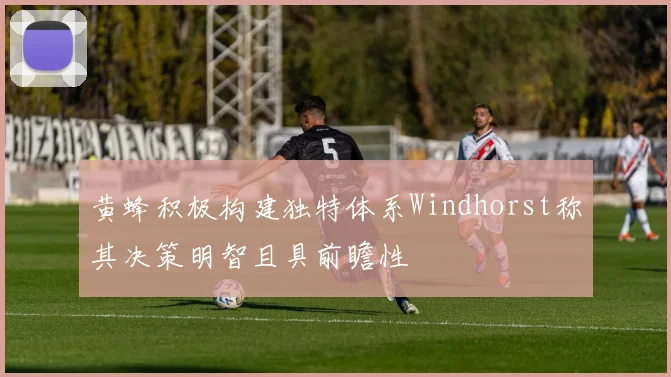 黄蜂积极构建独特体系Windhorst称其决策明智且具前瞻性